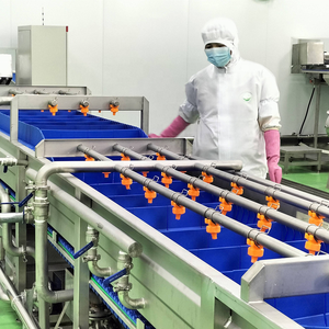 <span class=keywords><strong>Machine</strong></span> à <span class=keywords><strong>laver</strong></span> automatique de fruits et légumes de premier ordre, moteur, acier inoxydable de qualité alimentaire, grande capacité de nettoyage - Product Image 6