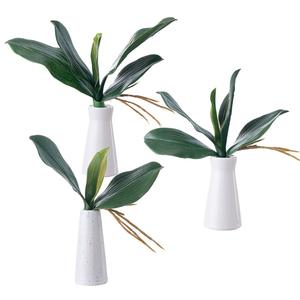 Ramo de Hojas de Phalaenopsis Hecho a Mano, PVC Artificial Verde, Impermeable, Ecológico, 50 Piezas, para Halloween, Hogar, Boda, Graduación, Oficina - Product Image 6