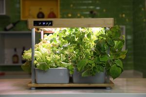 Sistemas de cultivo de plantas hidropónicas de jardín inteligente de bambú para interiores, luces LED de cultivo de espectro específico de 36w para el hogar, 30/ - Product Image 3