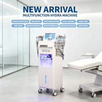 Appareil de raffermissement cutané au diamant 14 en 1, appareil portable de peeling aquatique, dermabrasion, oxygénation, machine de beauté pour le rajeunissement de la peau