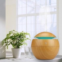 Fabricant USB boule sept couleurs lumière petit champignon humidificateur Mini grain de bois rond évider machine à arôme
