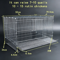 Producción Comercial de Huevos que Apoya las Razas de Codornices, Loros, Palomas, Pichones y Gallinas Rústicas