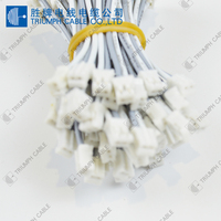 Berkualitas Tinggi Kawat Listrik 2 Pin Konektor Harness Cable Assembly untuk Otomotif Mobil Kabel
