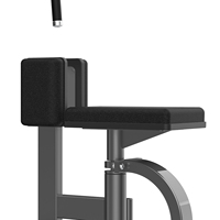 Équipement de musculation professionnel Realleader pour la rotation du tronc
