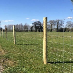 Clôture en treillis métallique galvanisé pour élevage de moutons et de bovins, durabilité de 20 ans, clôture en treillis métallique à nœuds carrés pour bovins - Product Image 1
