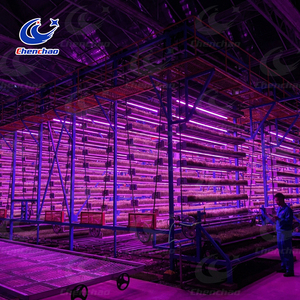 Sistema Comercial Automatizado de Cultivo Vertical Circular para Invernadero, Estante Hidropónico para Viveros Profesionales de Plántulas - Product Image 6
