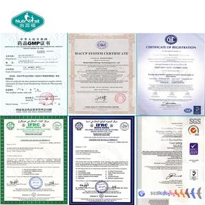 Nutrifirst-polvo para verduras, fabricante profesional, 100% puro, cilantro deshidratado, aditivo alimenticio en polvo - Product Image 6