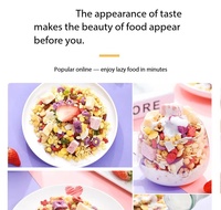 Sereal Instan Manis Tanpa Digoreng, Granola Buah Yogurt Chia Panggang, Oat Crisp, Nutrisi Pagi, Siap Saji, Kemasan Sachet
