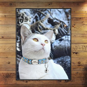 <span class=keywords><strong>2026</strong></span> 신상 베리 개인 맞춤형 안전 분리 버클 나일론 프린트 강아지 & 고양이 목줄 - Product Image 3