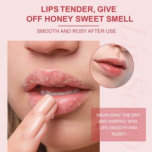 Gommage Lèvres au Sucre Herbal Rose <span class=keywords><strong>Fraise</strong></span> Végétalien Bio Marque Privée pour Grossiste, Soin Exfoliant Imperméable - Product Image 3