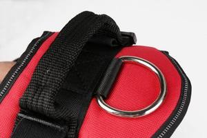 Arnés de perro sin tirones, arnés de mascota ajustable transpirable reflectante <span class=keywords><strong>para</strong></span> <span class=keywords><strong>chaleco</strong></span> de perro - Product Image 5