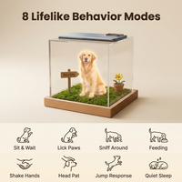Boîte commémorative numérique holographique moderne en plastique pour animaux de compagnie, pour chats et chiens, avec projection 3D en acrylique, pour condoléances en cas de perte - Vente en gros