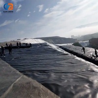 Geomembrana de HDPE de 2 mm, Estándar ASTM, para Impermeabilización de Presas y Lagos, Alta Resistencia, Rollo Negro, Lámina de Protección, Precio