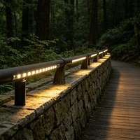 Projecteurs à LED à basse altitude pour mains courantes extérieures étanches, éclairage de tunnel surélevé, éclairage de projet fluvial