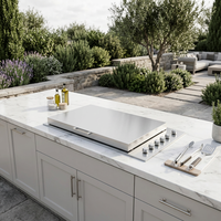 Barbecue à gaz GPL/GN d'extérieur haut de gamme en acier inoxydable 304, robuste et moderne, avec brûleurs réglables et allumage électronique par impulsion