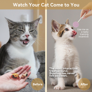 Đồ ăn cho mèo hữu cơ cao cấp thân thiện với môi trường, sản xuất theo đơn đặt hàng (OEM), số lượng lớn, tự nhiên, dạng kẹo mút, bánh quy - Product Image 2