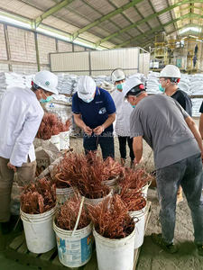 กระบวนการกำจัดของเสียจากทองแดงที่มีประสิทธิภาพสูงในการผลิตผลึกคอปเปอร์ซัลเฟต - Product Image 2