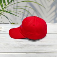 Gorra de Béisbol de 6 Paneles, Bordada a Mano, con Logotipo Personalizado, Estampado Floral Deportivo, Neutral, de Algodón, Sin Estructura, Formal, Comercial