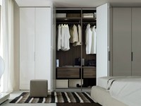 Dressing contemporain de luxe sur mesure en bois pour appartement urbain