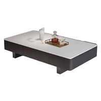 Table basse de salon, table à thé de haute qualité, table basse moderne minimaliste noire de petite taille