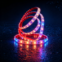 Guirlande lumineuse LED de Noël extérieure en gros, étanche IP68, éclairage permanent pour la maison, la piscine et le jardin
