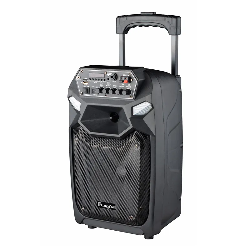 Oem khuyến mãi Woofer loa siêu trầm karaoke Hot Bán tiện ích Hộp điện tử xách tay Đảng DJ không dây xe đẩy loa với NFC
