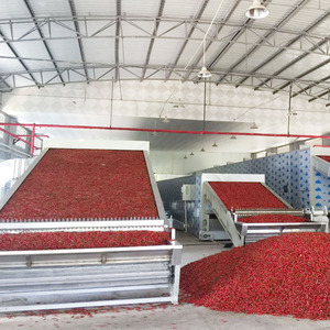 Công nghiệp khô Ớt hạt tiêu sấy dây chuyền chế biến với lưới vành đai máy sấy Ớt cuống cắt và hạt giống Loại bỏ máy - Product Image 6