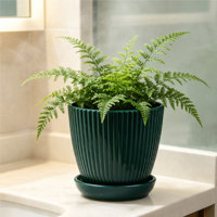 Pot de fleurs circulaire moderne en plastique PP avec trous de drainage, durable, capacité de 2,09 L, modèle S-170, pour utilisation au sol, à la maison et en jardinage