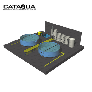 Sistema di filtrazione RAS integrato da 100 m³/h, attrezzatura per l'allevamento ittico RAS, macchina filtrante per l'acqua, altre attrezzature per l'acquacoltura - Product Image 1