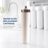 Élément filtrant en céramique OEM ODM de 10 pouces pour systèmes d'eau sous évier, sur comptoir et commerciaux