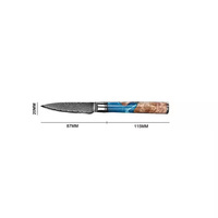 KitchenBliss Ultra Scherp Klein Keukenmes Volledig Gevormd 67-Lagen Damascus Staal Fruitmes 3,5 inch Schilmes
