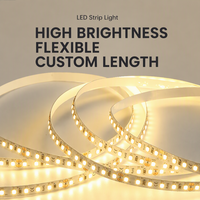 Bande lumineuse LED flexible à haute luminosité pour chambre à coucher, salon, plafond, décoration intérieure, prix direct usine