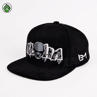 Casquette unisexe à visière plate de haute qualité, personnalisée, bicolore, avec broderie 3D, casquette snapback pour les activités de plein air, la plage, les performances et la pêche