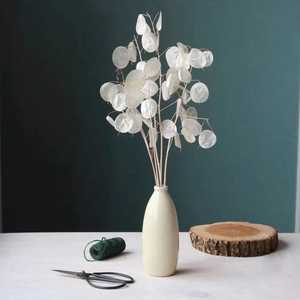 Fleurs décoratives stabilisées Lunaria Annua de haute qualité, vente en gros, approvisionnement direct usine 2026, pour la fête des Mères, la remise des diplômes, Noël, anniversaire, en vrac - Product Image 5