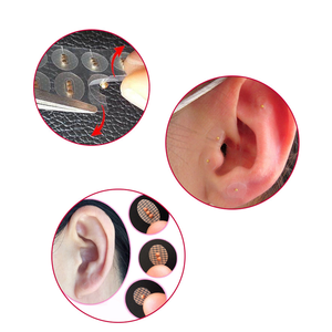 Biji telinga mutiara 20 buah terapi obat tradisional Cina cocok untuk penurun berat badan dan <span class=keywords><strong>Insomnia</strong></span> - Product Image 2