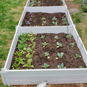 Dễ dàng cài đặt phổ biến PVC Vinyl lớn lên vườn giường planter hộp - Product Image 5