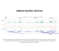 Kit de préparation de bibliothèque ATAC Zymo-Seq pour l'analyse de l'accessibilité du chromatine, compatible avec Illumina
