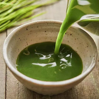 Poudre d'herbe d'orge de qualité alimentaire, pure et brute, pour complément quotidien