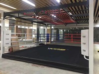 Cage d'octogone Rocson MMA UFC, taille et logo personnalisés pour la musculation, Y44, MOQ 1 ensemble, options multi-tailles, fabriqué en Chine