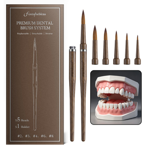 Système de pinceaux dentaires Kolinsky de qualité supérieure, pointes remplaçables, manche en bois de noyer, pinceau pour la teinture de la porcelaine et de la céramique en laboratoire dentaire - Product Image 1