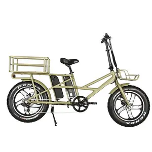 वयस्कों के लिए 20 इंच फैट टायर इलेक्ट्रिक सिटी बाइक लंबी दूरी की 48V 500W कार्गो ईबाइक 10.4Ah लिथियम बैटरी इलेक्ट्रिक बाइक