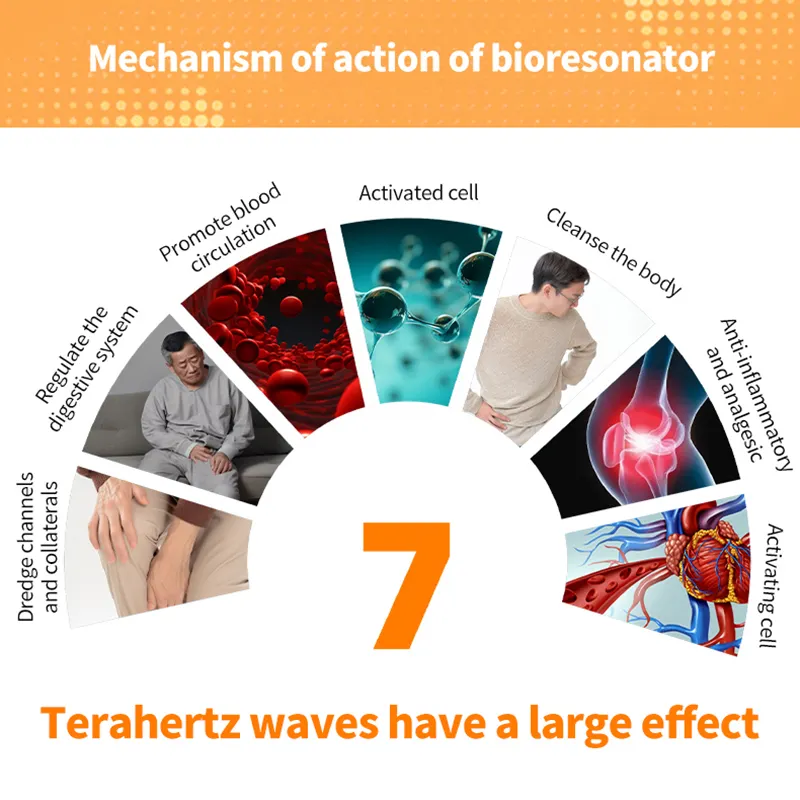 Suyzeko assistenza sanitaria biologica Terahertz dispositivo di terapia fisica P100 P90 bioterapia PEMF riscaldamento piedi SPA massaggiatore