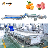Industriële fruitwasser, tomatenborstelreinigingsmachine, sinaasappelsorteer- en -gradeermachine, citroenverwerkingslijn