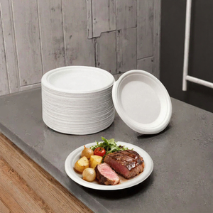 Assiettes en papier jetables de haute qualité sans BPA, style rustique, 6x6, robustes, en bagasse biodégradable, option compostable pour - Product Image 2