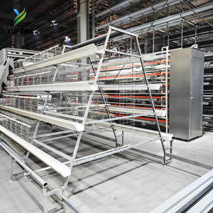 Cage à poulets de type A pour <span class=keywords><strong>poules</strong></span> pondeuses avec mangeoire en <span class=keywords><strong>PVC</strong></span> et <span class=keywords><strong>tuyau</strong></span> d'eau, résistante à la pression et à la chaleur - Product Image 4