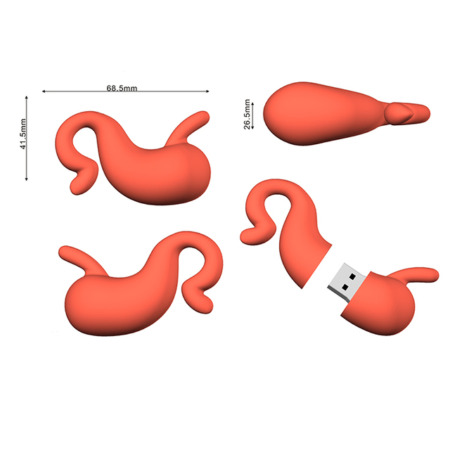 Cartoon Human Organs USB Flash Drive Lung Heart Stomach Brain Doctor Pendrive 64gb Usb Flash Drives Memoria Usb Stick Pen Drive
