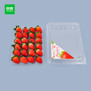 Bandeja de plástico transparente desechable <span class=keywords><strong>para</strong></span> fresas Caja de exhibición de embalaje de concha de 24 celdas <span class=keywords><strong>para</strong></span> <span class=keywords><strong>frutas</strong></span> de granja - Product Image 5