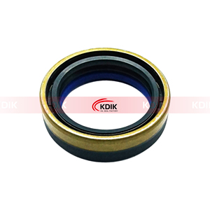 12019672b 45*60*16 <span class=keywords><strong>Combi</strong></span> SF loại <span class=keywords><strong>NBR</strong></span> bánh xe trung tâm con dấu dầu cho xe tải máy kéo - Product Image 3