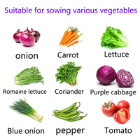 Semoir automatique de haute précision 8-20 rangs pour légumes : oignon, carotte, chou, épinard, laitue, radis, colza