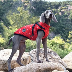 Kingtale Pet Suppliers <strong>Dog</strong> Accessories Reflective Adjustable Soft Padded <strong>Dog</strong> <strong>Clothes</strong> With <strong>Dog</strong> Harness - Product Image 5
